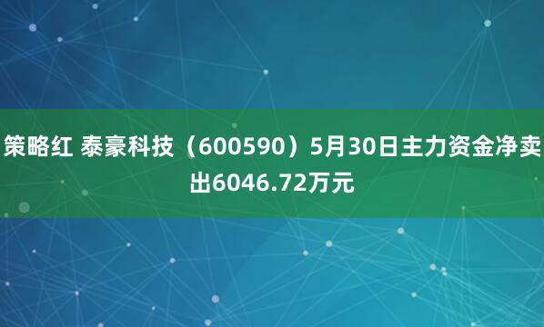 策略红 泰豪科技（600590）5月30日主力资金净卖出6046.72万元