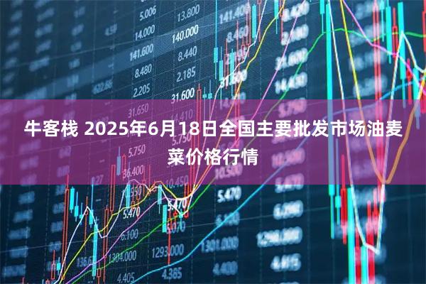 牛客栈 2025年6月18日全国主要批发市场油麦菜价格行情