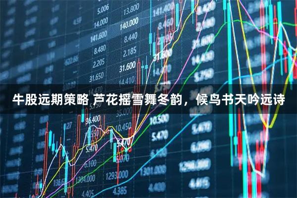 牛股远期策略 芦花摇雪舞冬韵，候鸟书天吟远诗