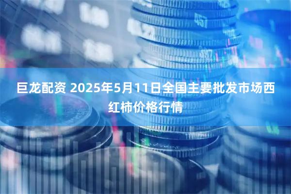 巨龙配资 2025年5月11日全国主要批发市场西红柿价格行情