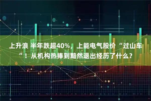 上升浪 半年跌超40%，上能电气股价 “过山车”！从机构热捧到黯然退出经历了什么？